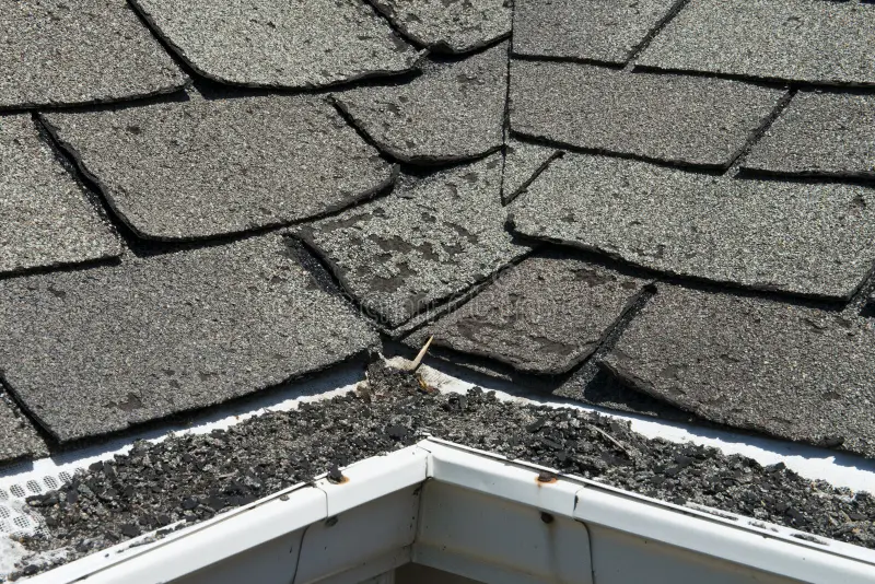 Damaged asphalt shingle roof